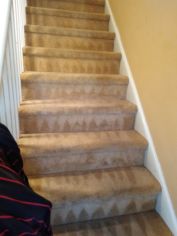 Photo of Clean AIR Carpet care