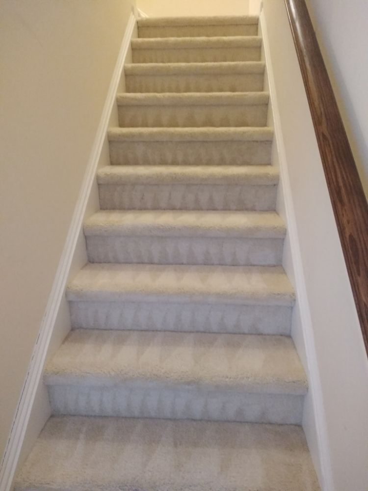 Photo of Clean AIR Carpet care