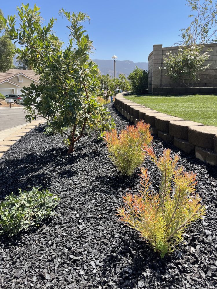 Photo of PRG Tree Care
