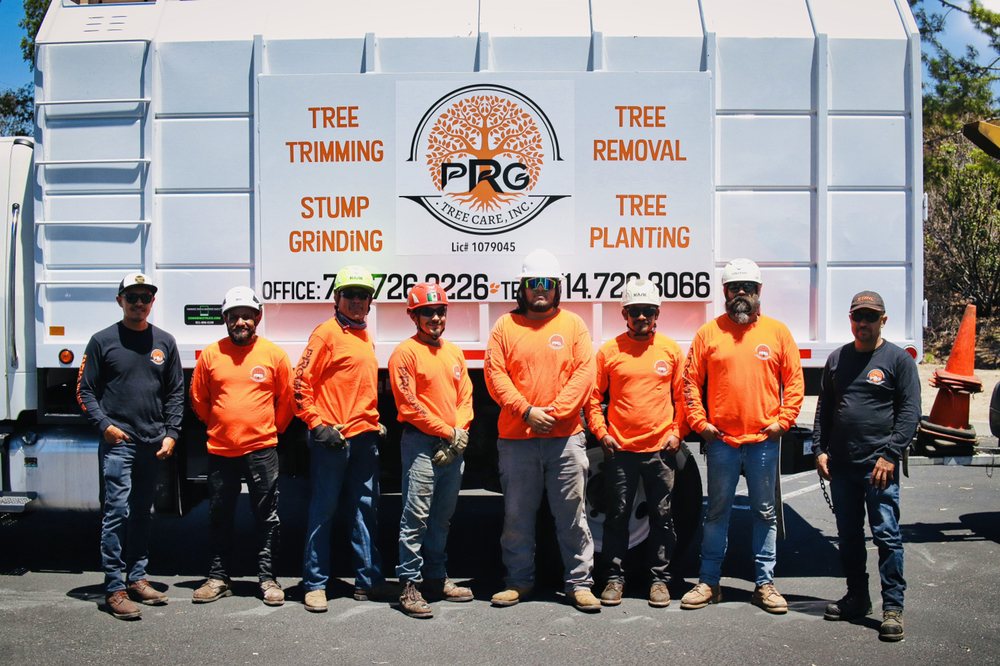 Photo of PRG Tree Care