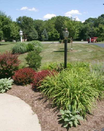 Photo of Action Lawn & Landscape