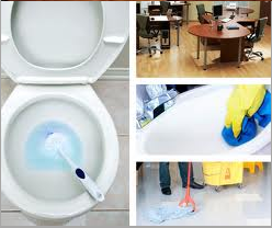 Photo of 2 bee Cleaned Services