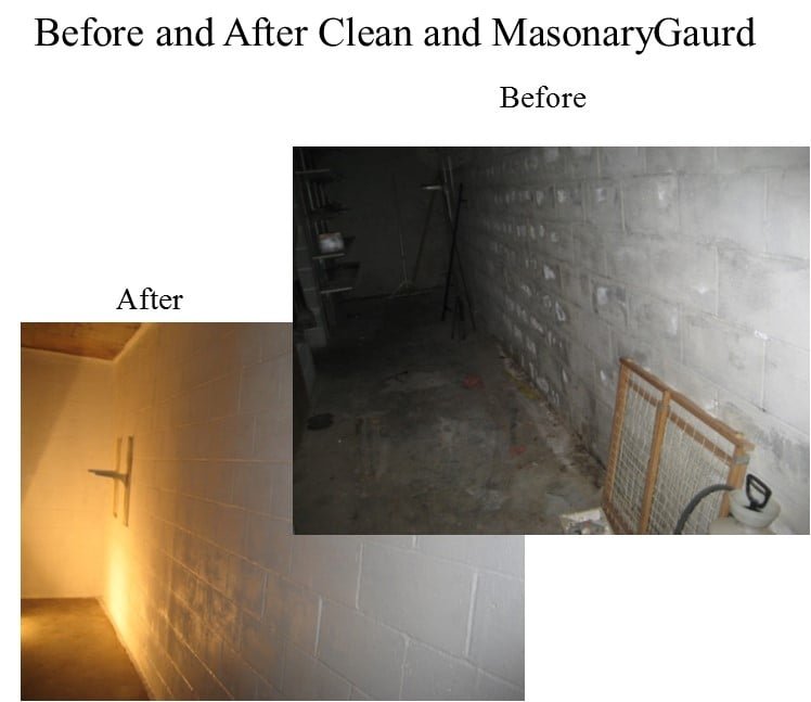 Photo of Mold & Mildew Solutions