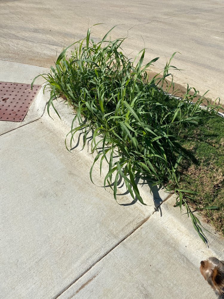 Photo of Faithful Lawn Care