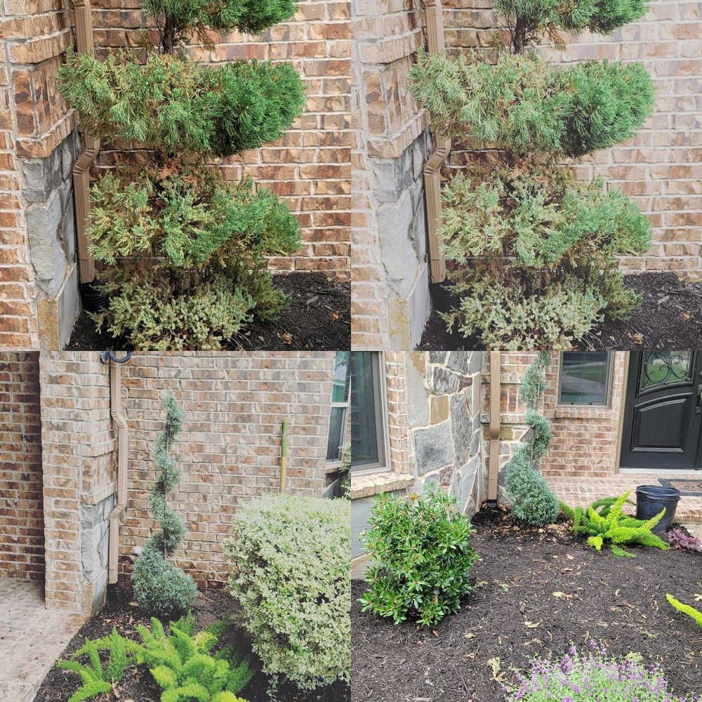 Photo of Faithful Lawn Care