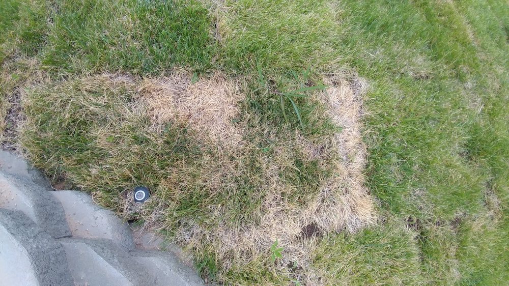Photo of Phillips Turf Farm