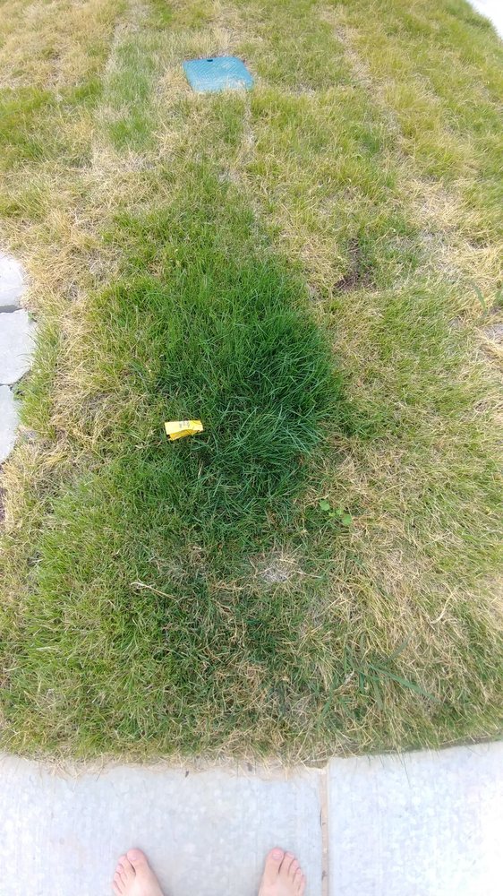 Photo of Phillips Turf Farm