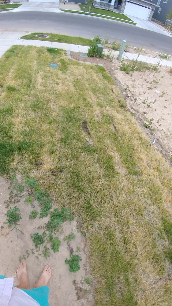 Photo of Phillips Turf Farm