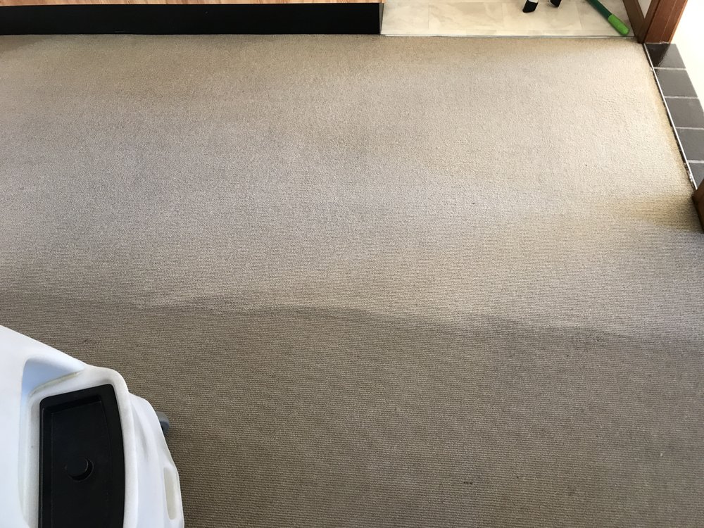 Photo of Drymaster Carpet Cleaning