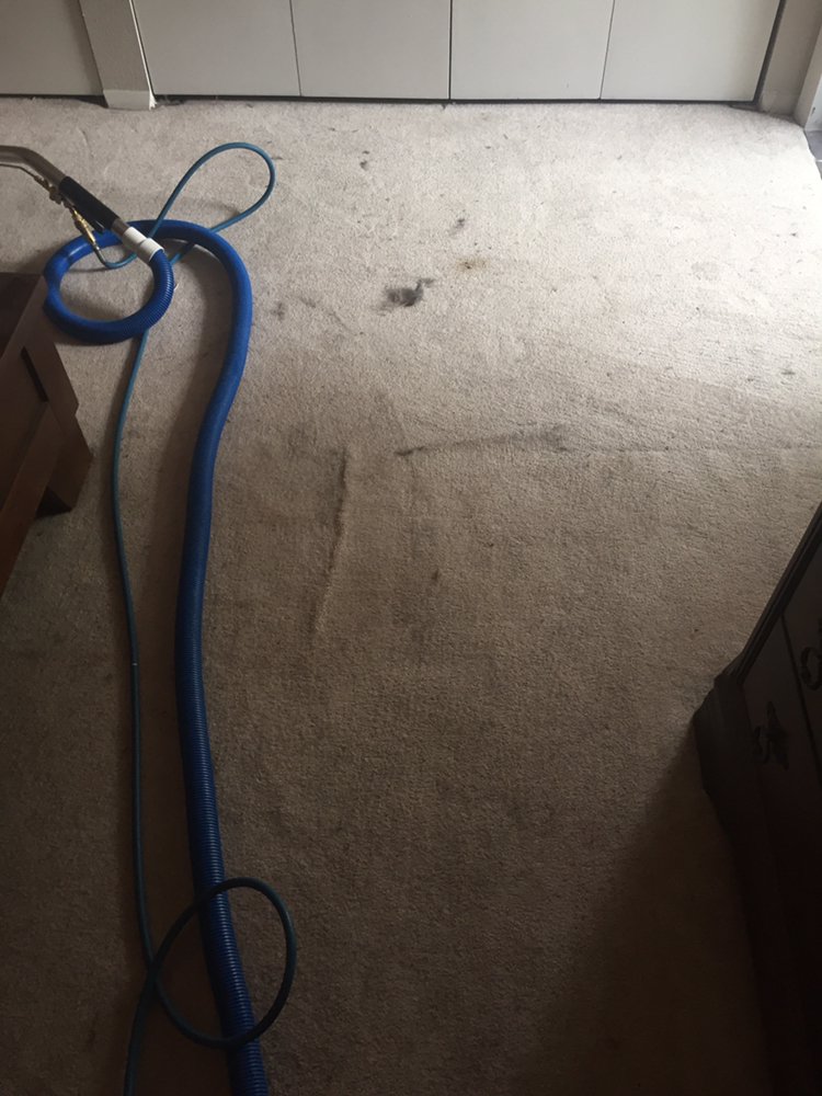 Photo of N-L Carpet Cleaning