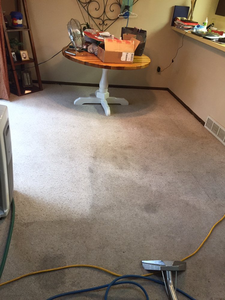Photo of N-L Carpet Cleaning