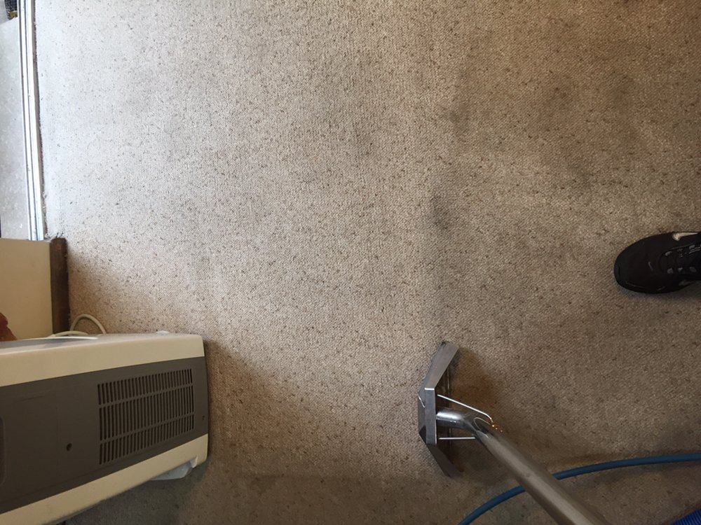 Photo of N-L Carpet Cleaning