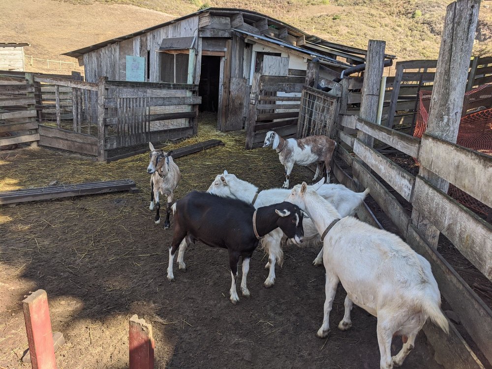 Photo of Slide Ranch