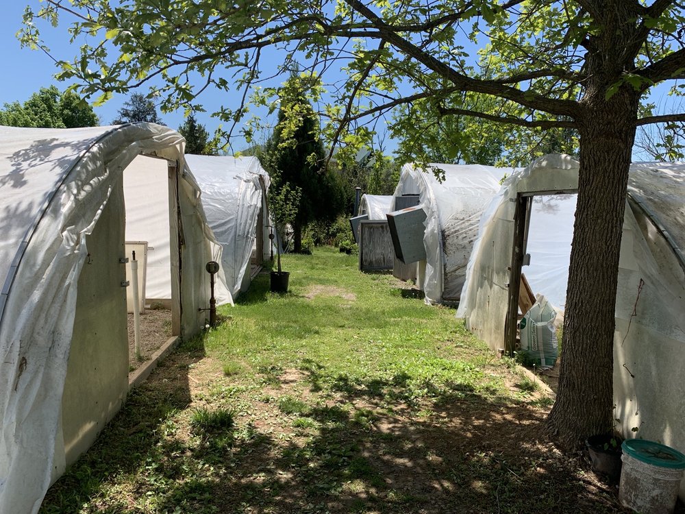 Photo of Preston Greenhouse & Garden Center