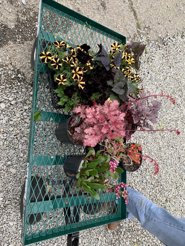 Photo of Preston Greenhouse & Garden Center