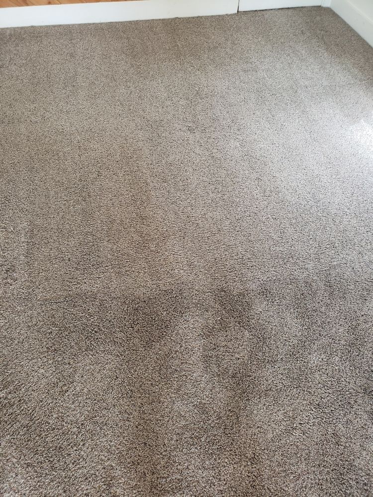 Photo of All American Carpet Cleaning