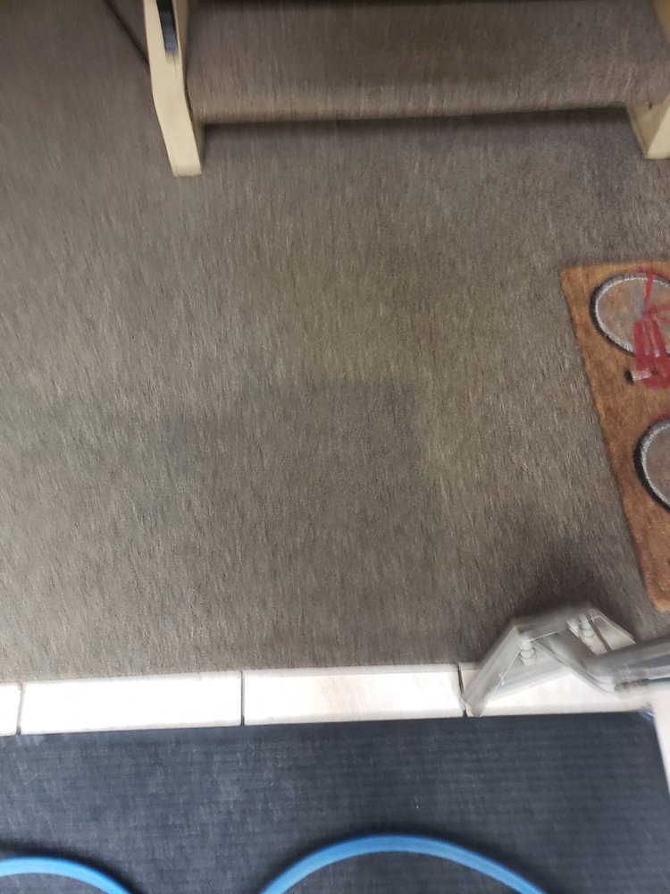 Photo of All American Carpet Cleaning