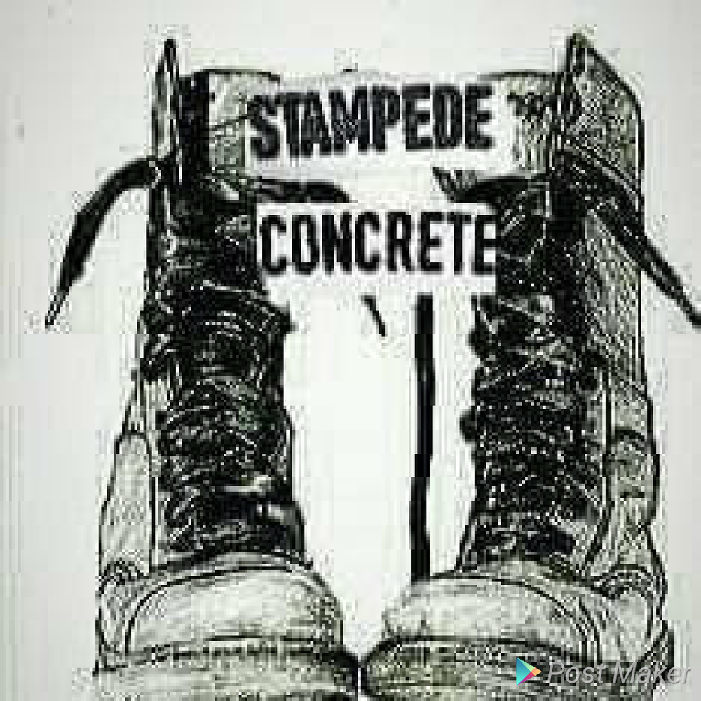 Photo of Stampede Concrete