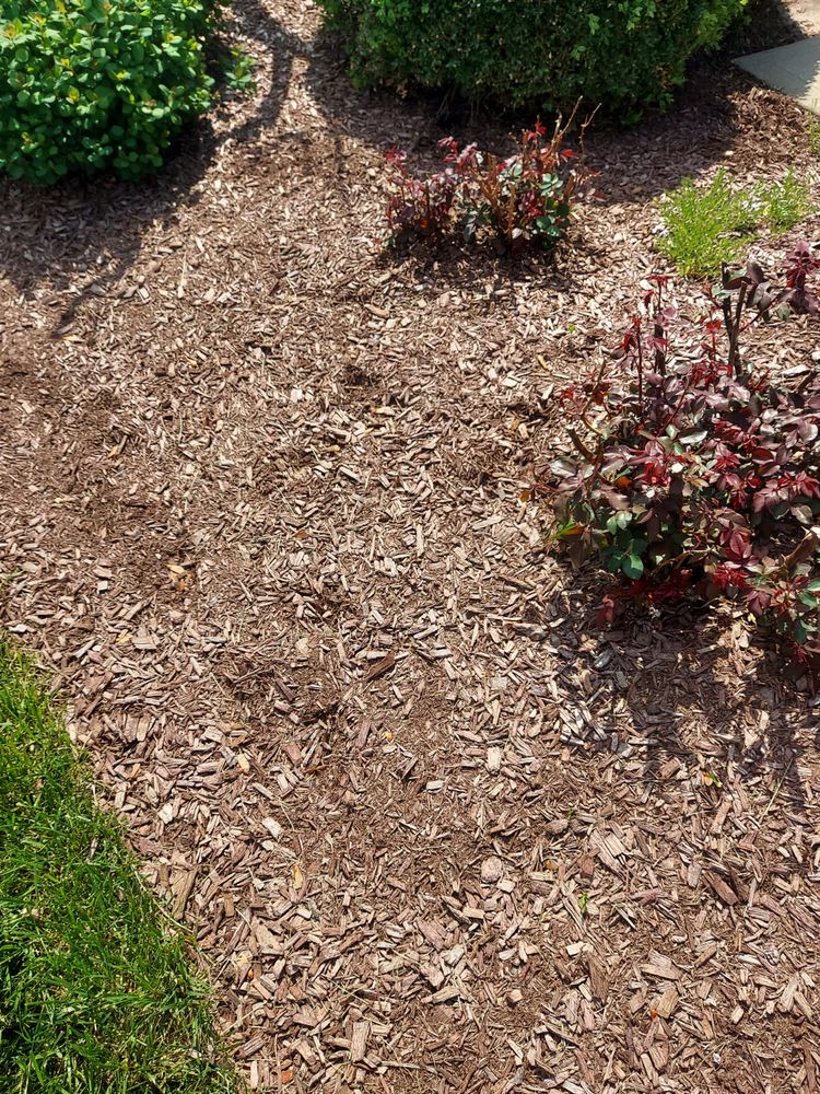 Photo of Mulch Smart