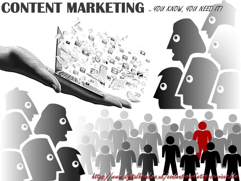 Photo of Digitalhound Ltd