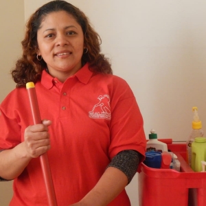 Capitol Heights Maldon Cleaning Services