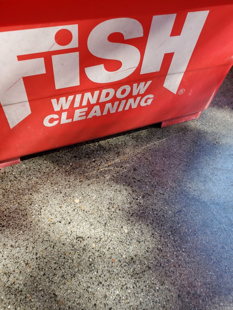 Photo of Fish Window Cleaning