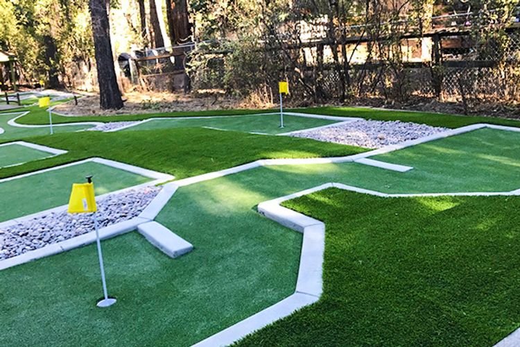 Photo of Arizona Smart Grass