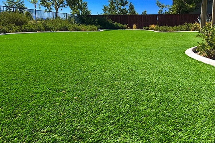Photo of Arizona Smart Grass