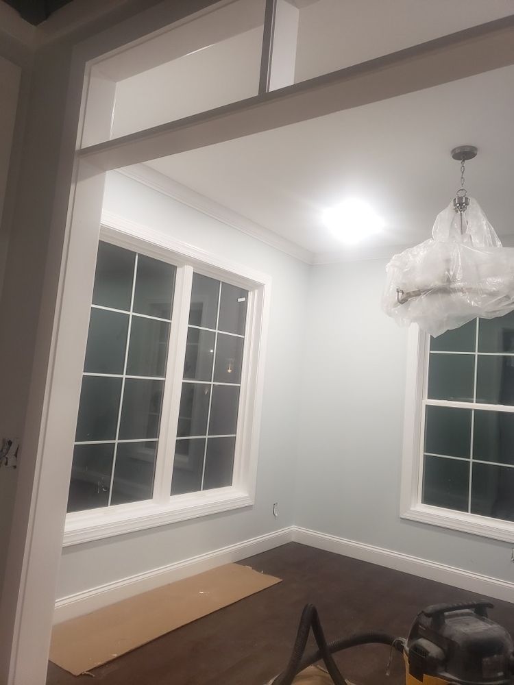 Photo of Vera Quality Painting