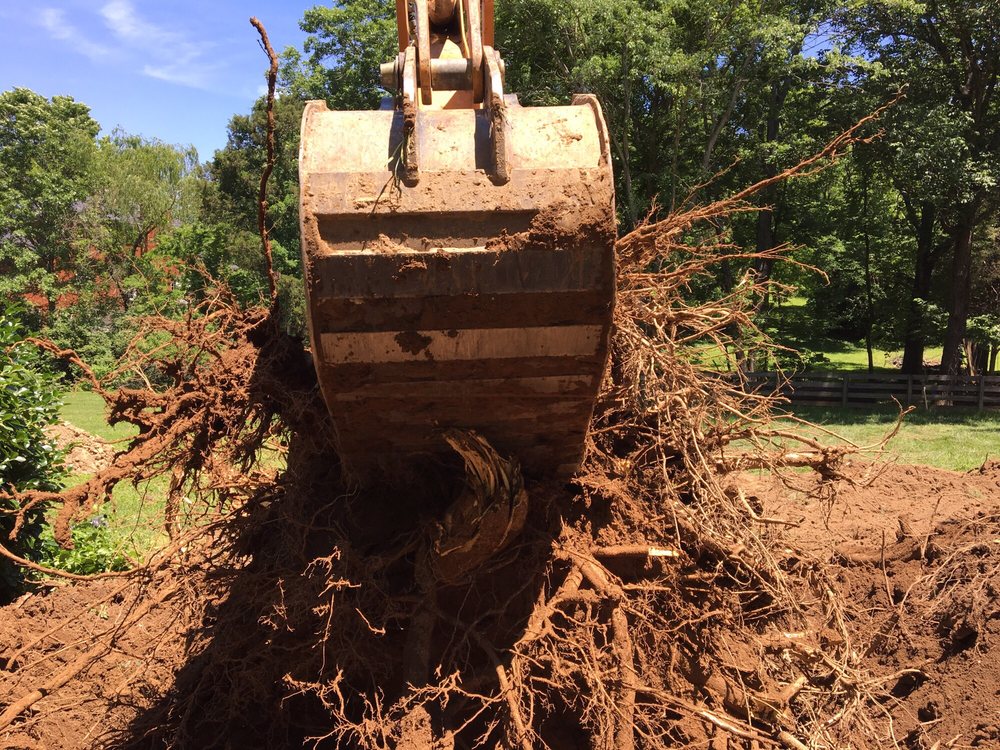 Photo of Elite Irrigation & Landscaping