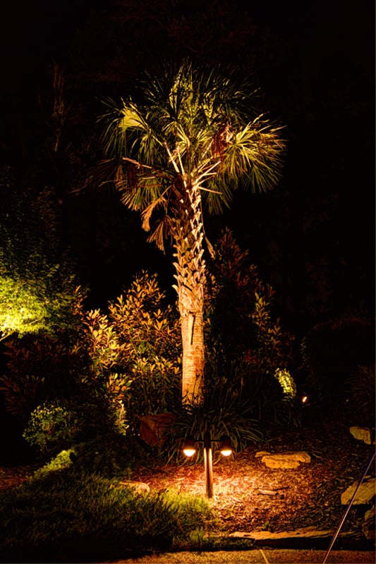 Photo of Fine Edge Landscape Design