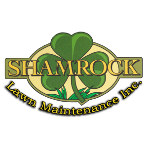 Photo of Shamrock Lawn Maintenance
