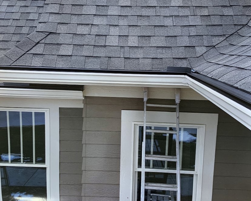 Photo of FoxGuard Gutter Cover