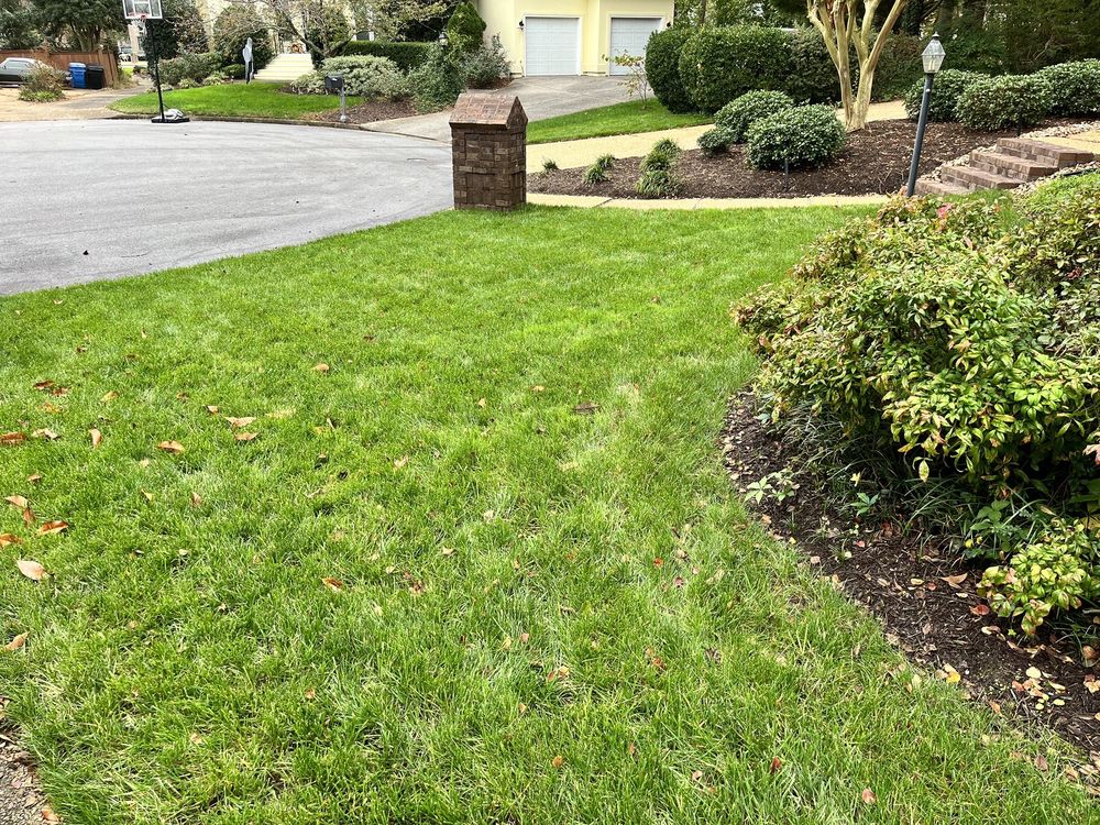 Photo of Dreamlawns