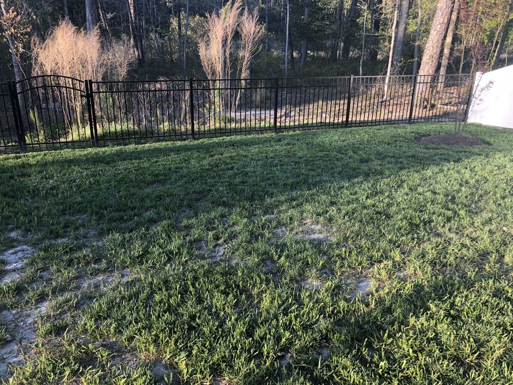 Photo of Dreamlawns