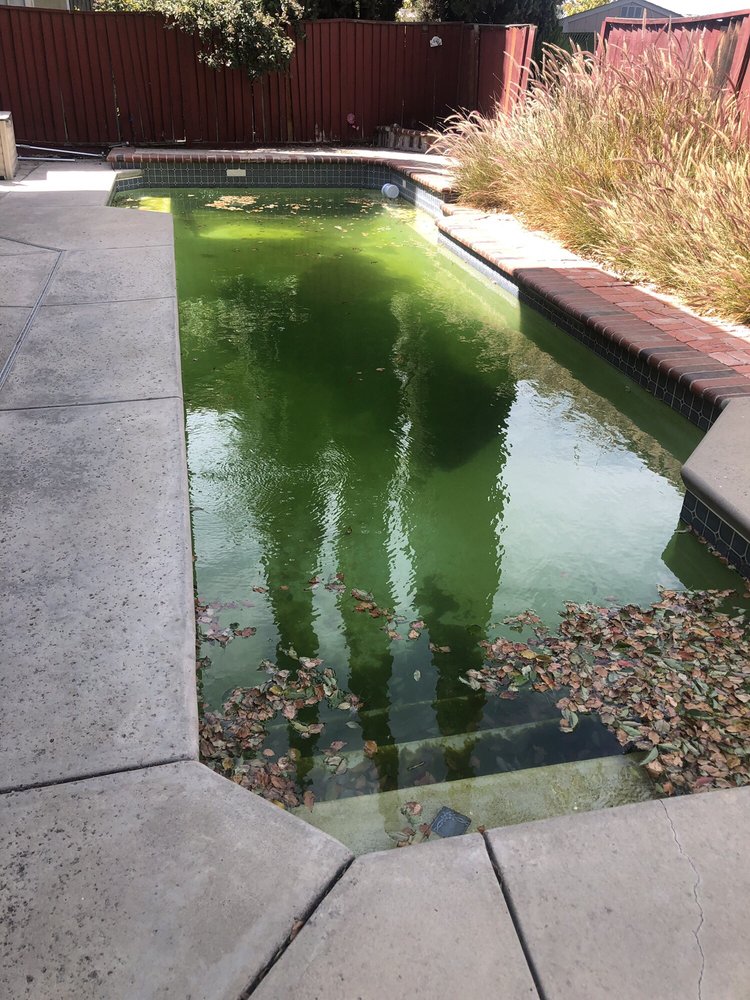 Photo of Green To Clean Pools
