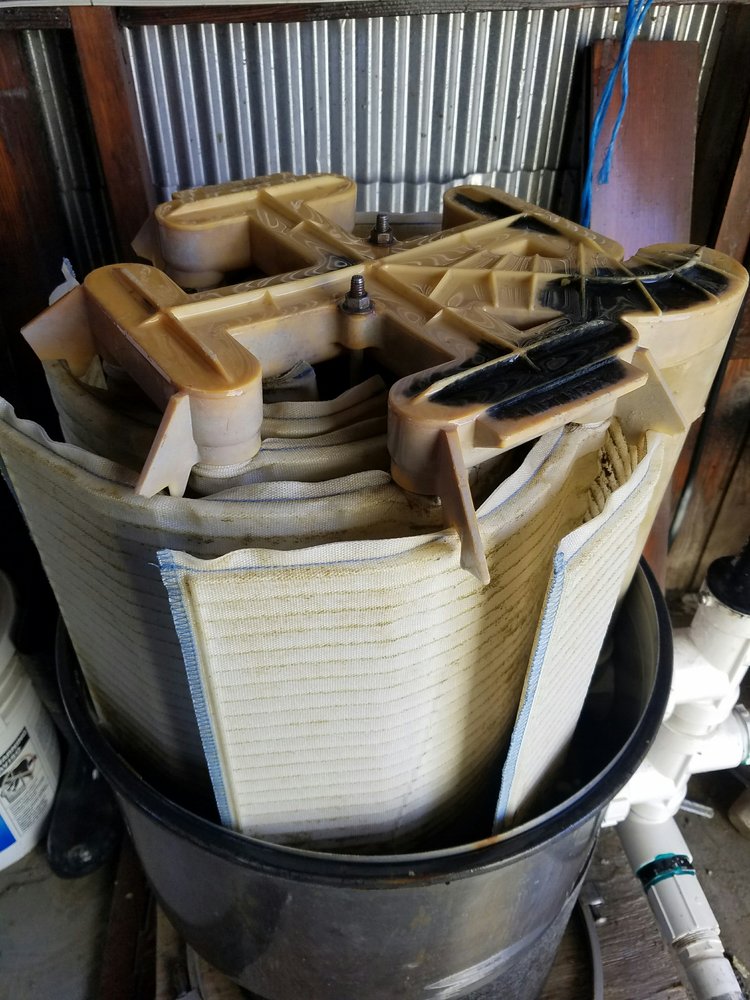 Photo of Green To Clean Pools