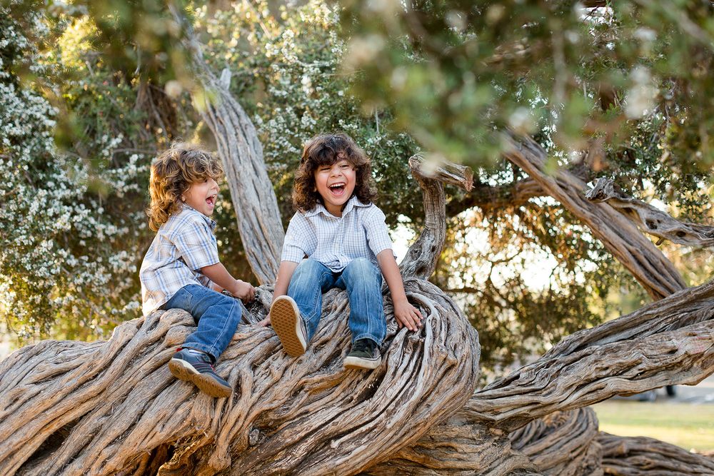 Photo of Christine Dammann Photography
