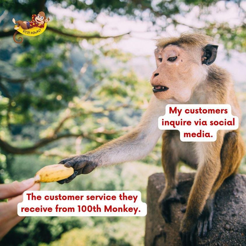 Photo of 100th Monkey