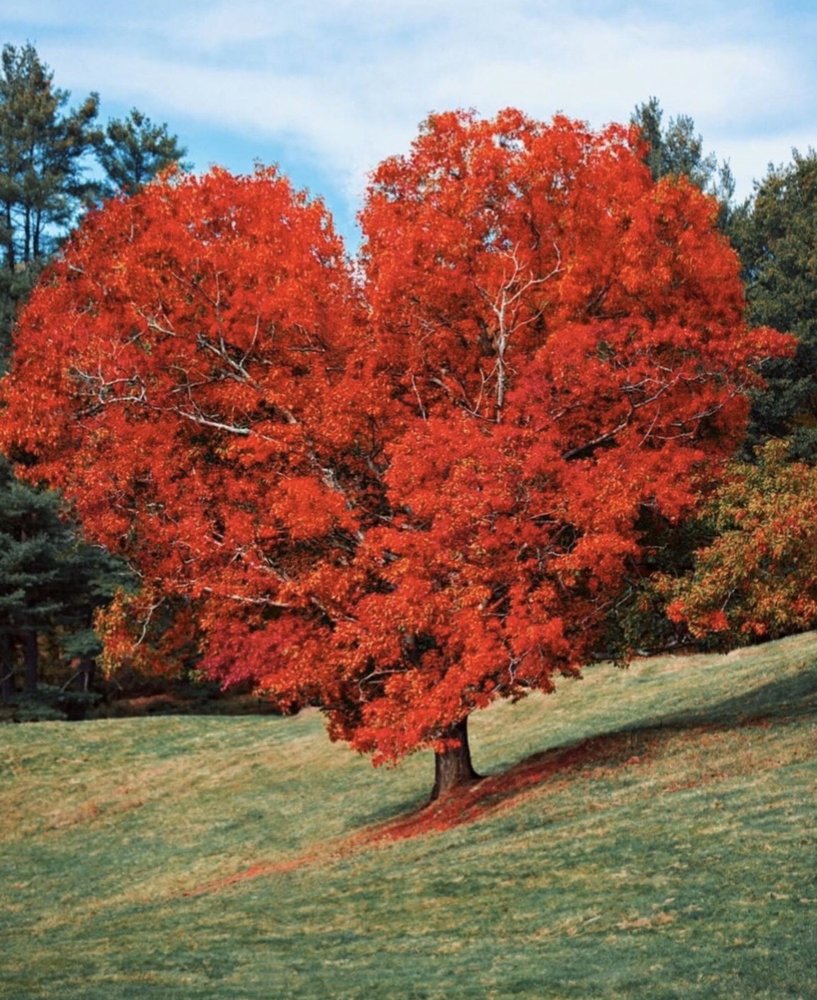 Photo of Trusted Roots