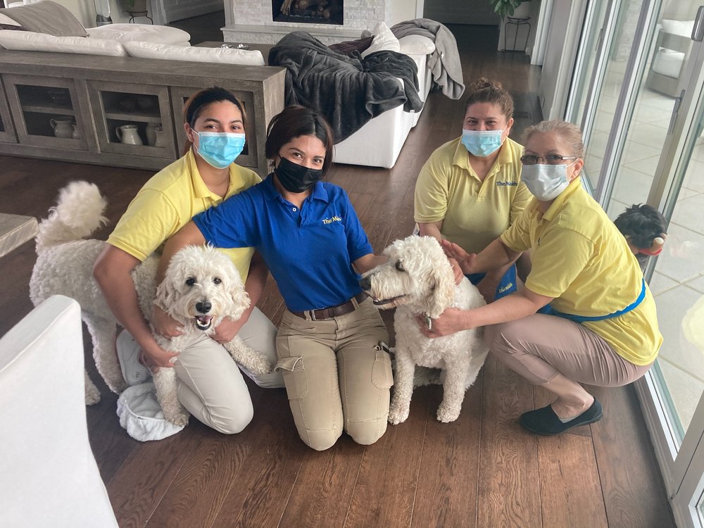 Photo of The Maids of Alexandria, Arlington and DC