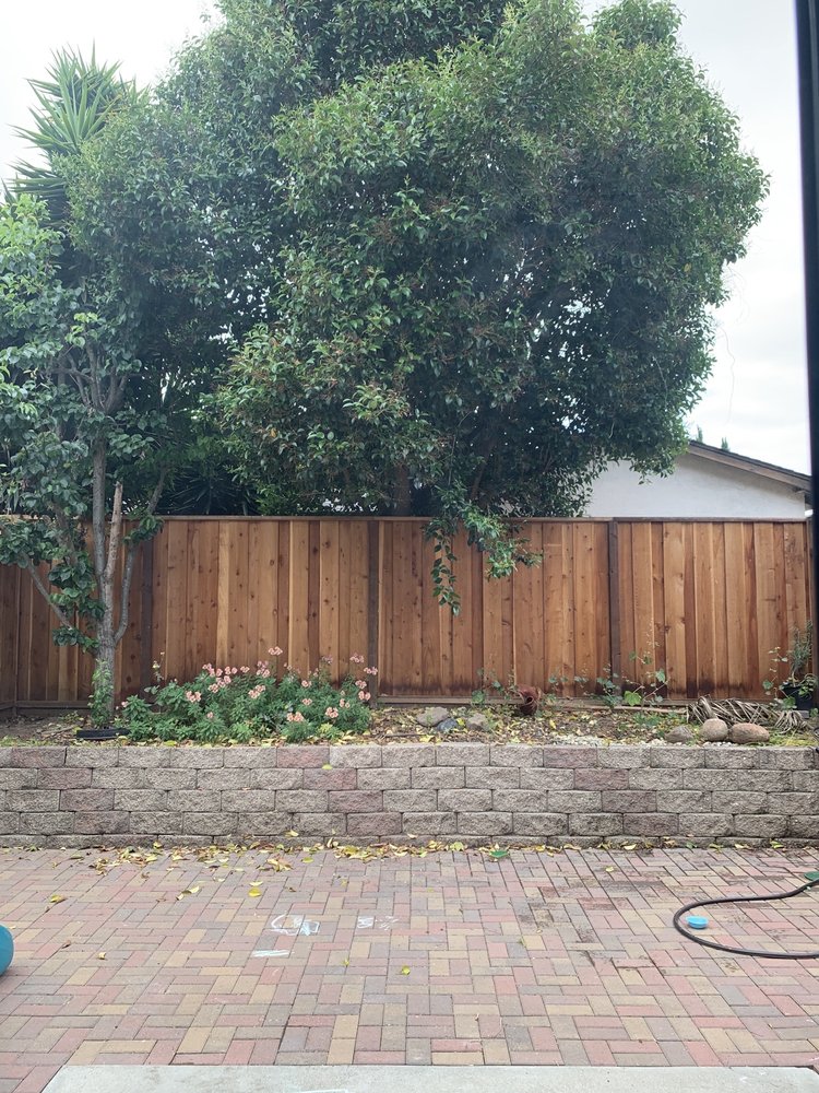 Photo of Eson's Lawn and Yard Service