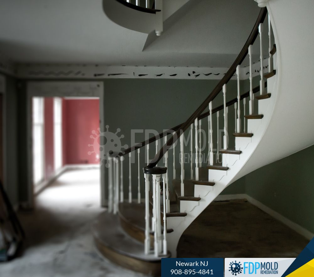 Photo of FDP Mold Remediation