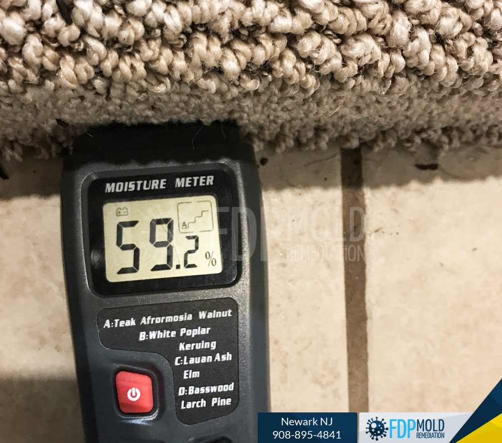 Photo of FDP Mold Remediation