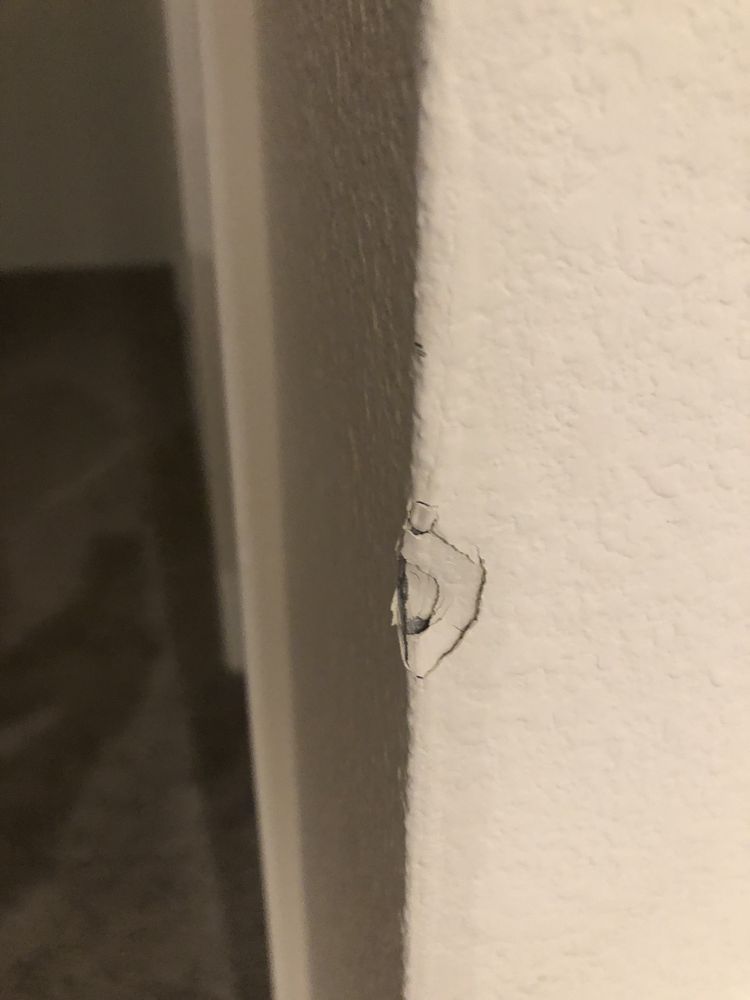 Photo of Quality Moving