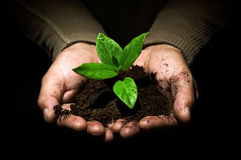 Photo of 3-Point Virtual Services LLC