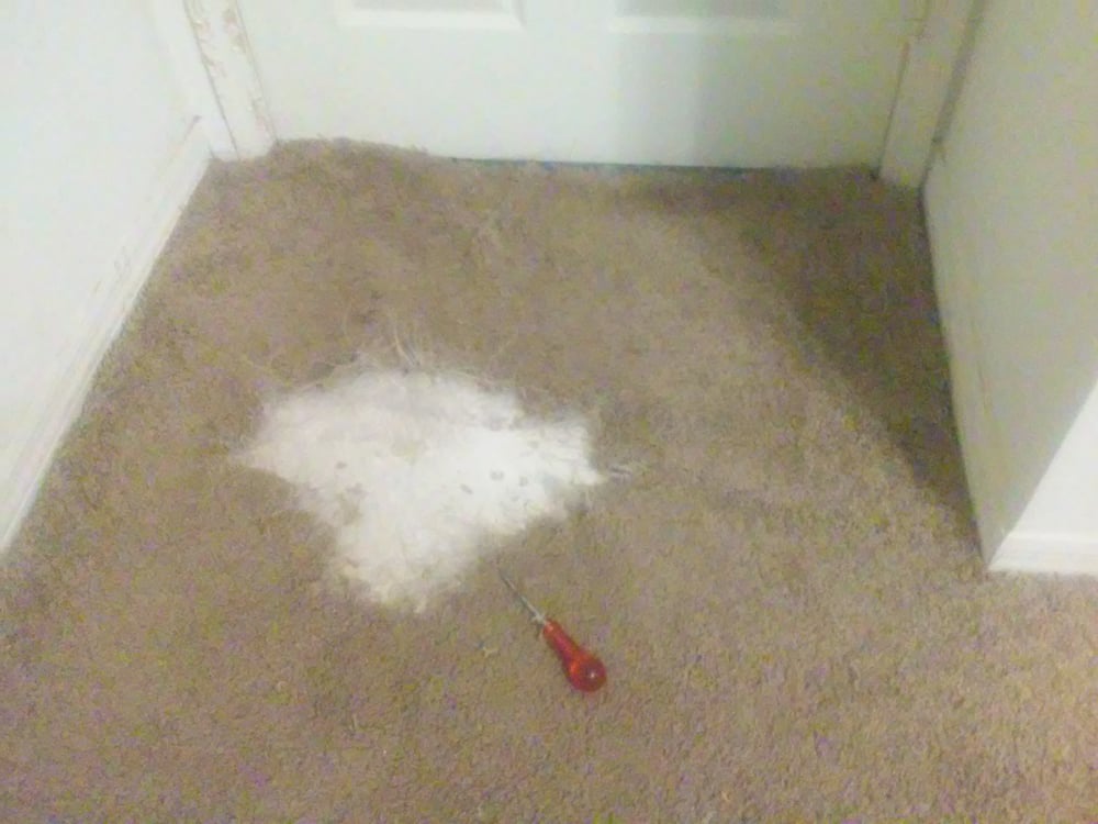 Photo of Carpets by Jonah