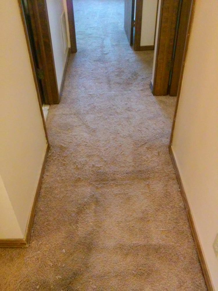 Photo of Carpets by Jonah