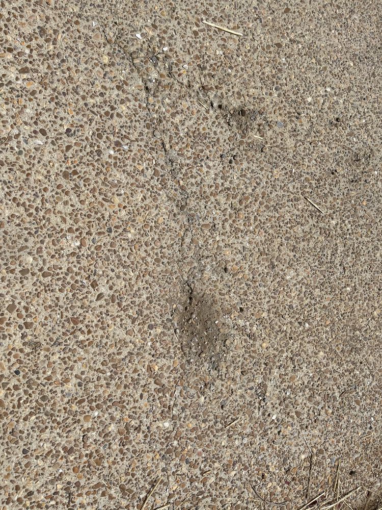 Photo of Madewell Concrete - Nashville