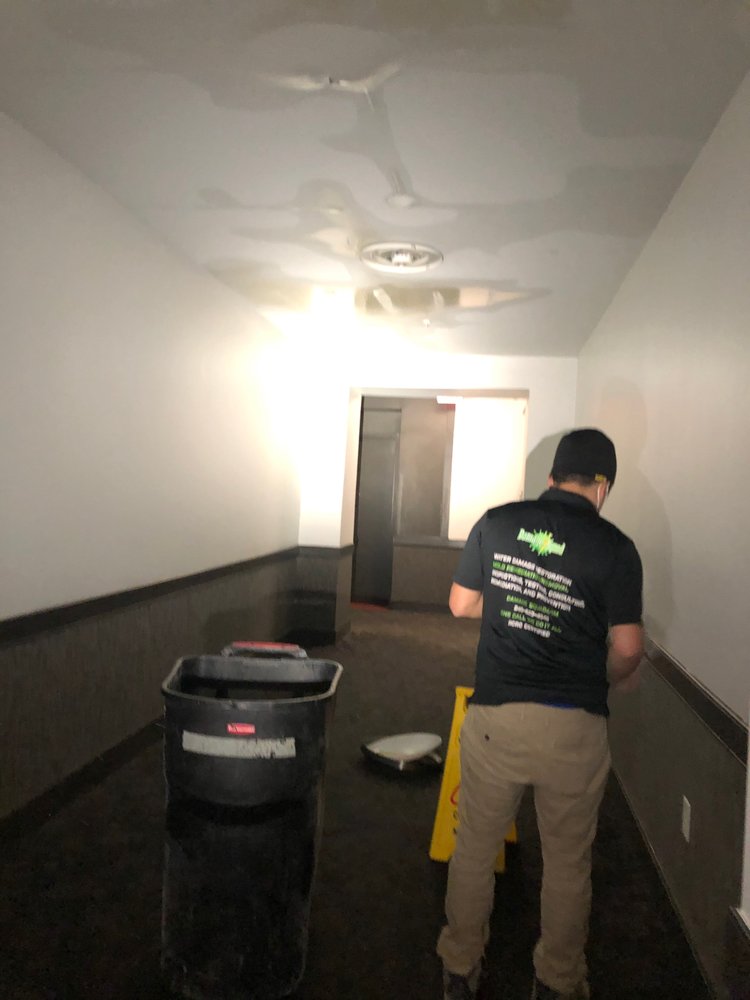Photo of Damage Squad